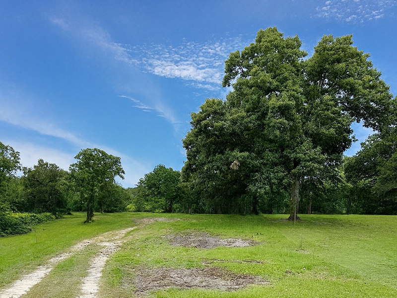 Future Homes Site Preparation Future Homes Site Preparation